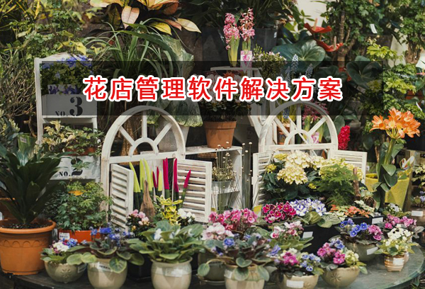 花店管理软件解决方案,花店进销存财务管理软件